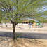 3 Schlafzimmer Haus zu verkaufen in Hermosillo, Sonora, Hermosillo