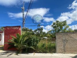  Terrain for rent in Oaxaca, Del Centro, Oaxaca