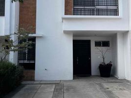 3 Habitación Casa en alquiler en Leon, Guanajuato, Leon