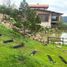 在Ocampo, Guanajuato出售的3 卧室 屋, Ocampo