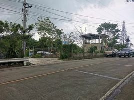  Terreno (Parcela) en venta en Cebu City, Central Visayas, Cebu City, Cebu, Central Visayas, Filipinas