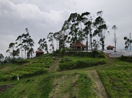  Tanah for sale in Bandung, West Jawa, Sumurbandung, Bandung