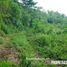  Land for sale in Xicotepec, Puebla, Xicotepec