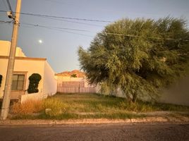  Land for sale in Hermosillo, Sonora, Hermosillo