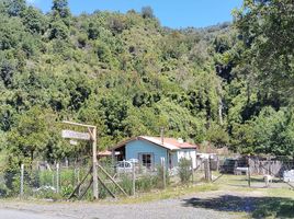 Terreno (Parcela) en venta en Ranco, Los Ríos, Futrono, Ranco