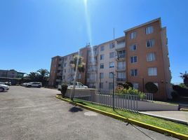 3 Bedroom Condo for sale in Cordillera, Santiago, Pirque, Cordillera