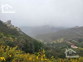  토지을(를) San Agustin Tlaxiaca, 히달고에서 판매합니다., San Agustin Tlaxiaca
