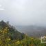  토지을(를) San Agustin Tlaxiaca, 히달고에서 판매합니다., San Agustin Tlaxiaca