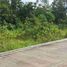  Land for sale in Panglao, Bohol, Panglao