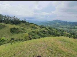  Land for sale in Central Visayas, Cebu City, Cebu, Central Visayas