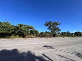  Land for sale in Amadeo, Cavite, Amadeo