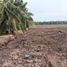  Grundstück zu vermieten in Kuala Selangor, Selangor, Tanjong Karang, Kuala Selangor