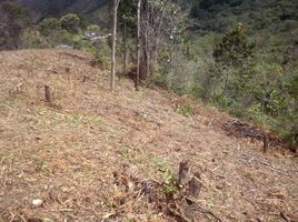  Land for sale in Cali, Valle Del Cauca, Cali