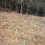  Land for sale in Cali, Valle Del Cauca, Cali