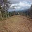  Land for sale in Cali, Valle Del Cauca, Cali