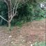  Land for sale in Jalancagak, Subang, Jalancagak