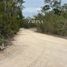  Terreno (Parcela) en venta en Cozumel, Quintana Roo, Cozumel