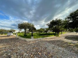  Grundstück zu verkaufen in Allende, Guanajuato, Allende