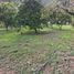  Land for sale in Santander, Piedecuesta, Santander