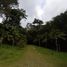  Land for sale in Sabaneta Antioquia, Sabaneta