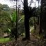 Terrain à vendre à Sabaneta, Antioquia, Sabaneta