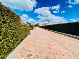 4 Habitación Villa en alquiler en Cundinamarca, Chia, Cundinamarca