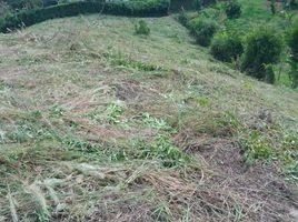  Terreno (Parcela) en venta en Alcala, Valle Del Cauca, Alcala