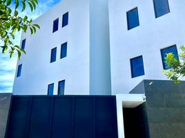 1 Schlafzimmer Appartement zu vermieten in Monterrey, Nuevo Leon, Monterrey