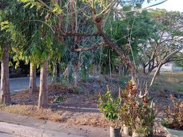  Land for sale in Bacoor City, Cavite, Bacoor City