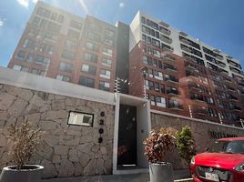 1 Schlafzimmer Appartement zu verkaufen in Zapopan, Jalisco, Zapopan