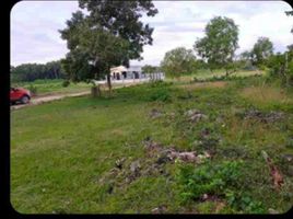  Land for sale in Panglao, Bohol, Panglao