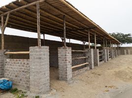  Terreno (Parcela) en venta en El Carmen, Chincha, El Carmen