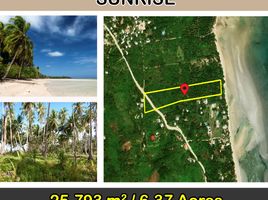  Land for sale in El Nido, Palawan, El Nido