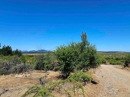  Terreno (Parcela) en venta en Maule, Cauquenes, Cauquenes, Maule