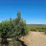  Terreno (Parcela) en venta en Maule, Cauquenes, Cauquenes, Maule