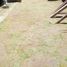  토지을(를) San Gregorio Atzompa, 푸에블라에서 판매합니다., San Gregorio Atzompa