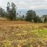  Land for sale in Nulti, Cuenca, Nulti