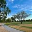  Land for sale in Hermosillo, Sonora, Hermosillo