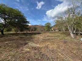  Land for sale in Ecuador, Vilcabamba Victoria, Loja, Loja, Ecuador