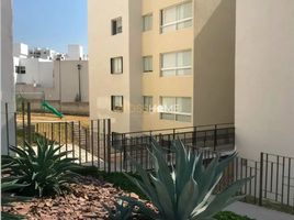 Appartement 2 chambre à louer à Queretaro, Queretaro, Queretaro, Queretaro