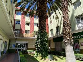 3 Habitación Apartamento en venta en Cordillera, Santiago, San Jode de Maipo, Cordillera