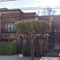 4 Schlafzimmer Haus zu verkaufen in Miguel Hidalgo, Mexico City, Miguel Hidalgo