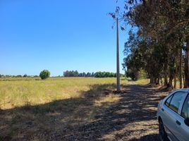  Land for sale in Chile, Maule, Talca, Maule, Chile