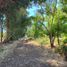  Land for sale in Chile, Maule, Talca, Maule, Chile