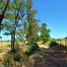  Land for sale in Chile, Maule, Talca, Maule, Chile