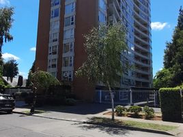 3 Habitación Apartamento en alquiler en Nueva Imperial, Cautín, Nueva Imperial