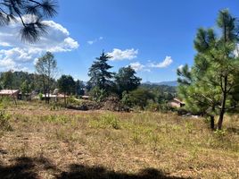 Grundstück zu verkaufen in Tapalpa, Jalisco, Tapalpa
