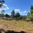 Land for sale in Tapalpa, Jalisco, Tapalpa