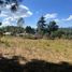  Land for sale in Tapalpa, Jalisco, Tapalpa