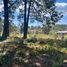  Land for sale in Tapalpa, Jalisco, Tapalpa